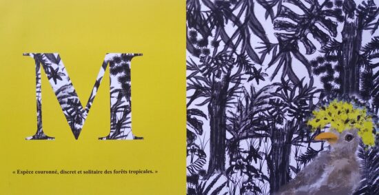 Abécédaire Oiseaux